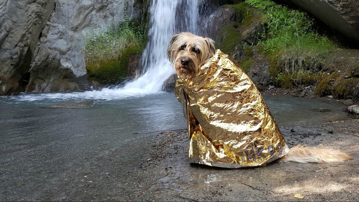 Космическое, или спасательное, одеяло. В сложенном виде меньше современного телефона. А по весу — в разы легче, весит всего 60 гр