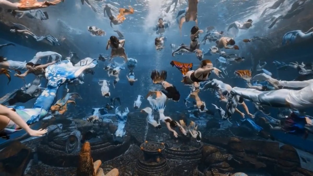 Ракурс из миграции стаи