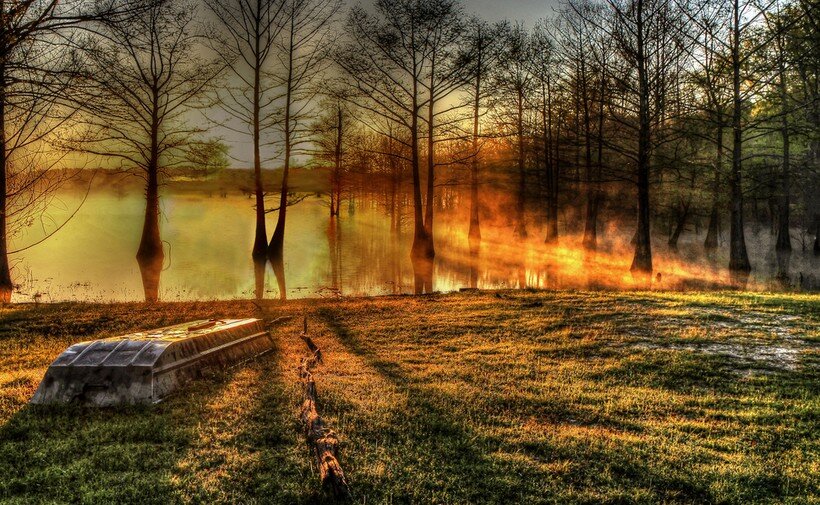 золотая осень настроение. настроение осень. осень октябрь. природа осень. ранняя осень.