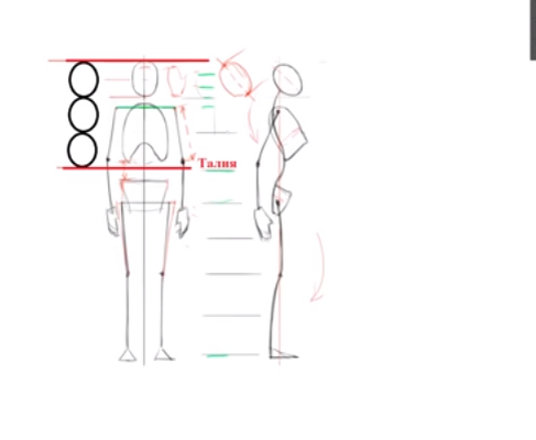 Самое важное - правильно нарисовать основу, скелет, соблюдя пропорции, поэтому для начала давайте поймем пропорции человека, без этого изобразить тело достоверно не получится.