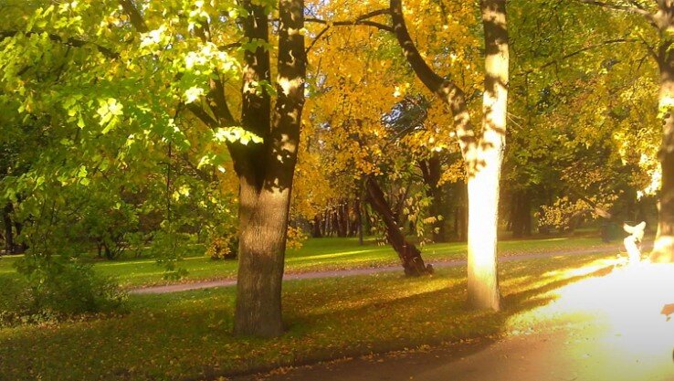 Природа в золотом убранстве