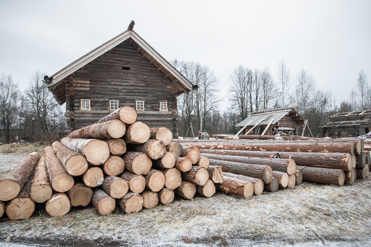 Фото: Юлия Невская
