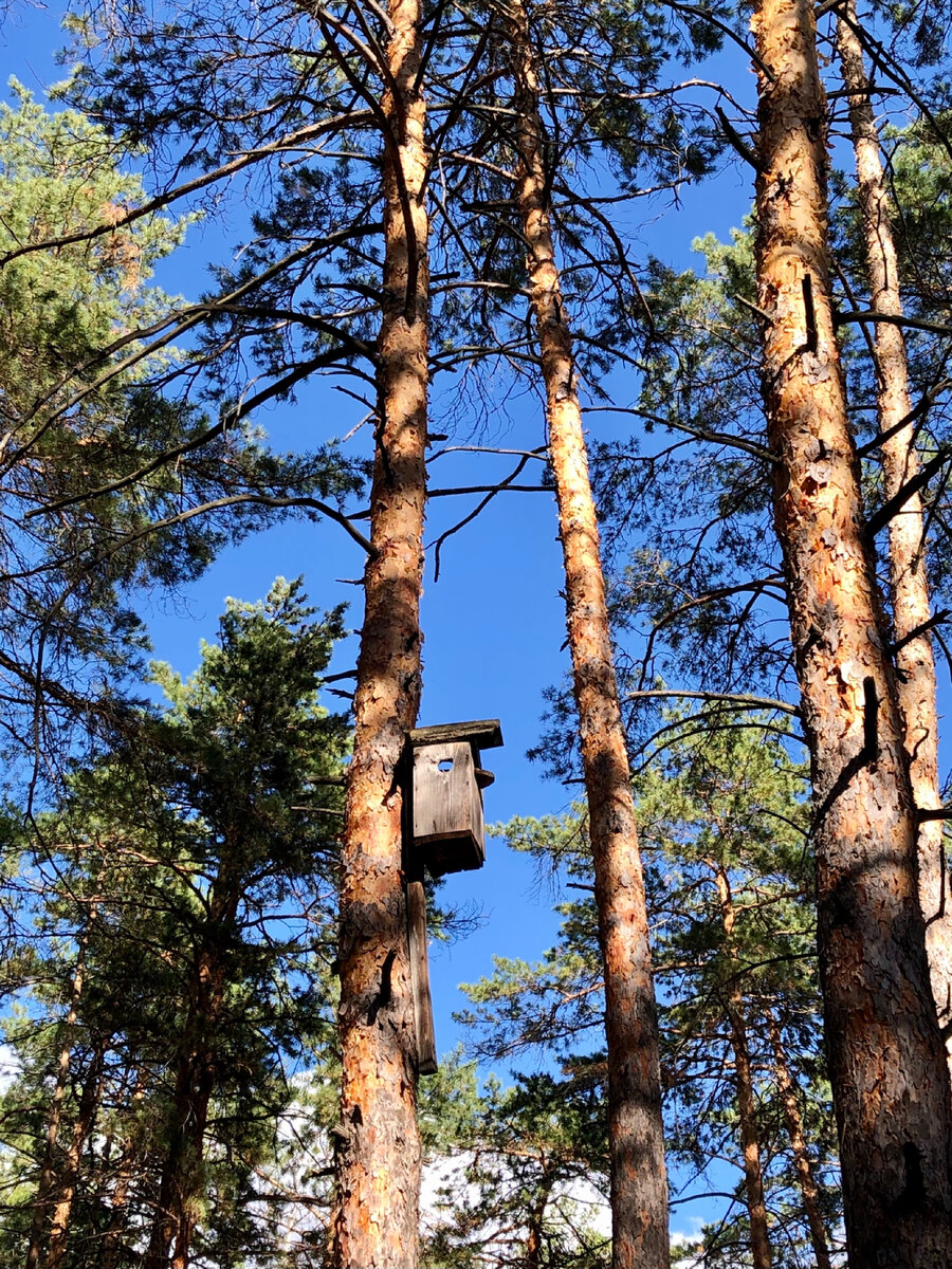 Фото из личного архива 