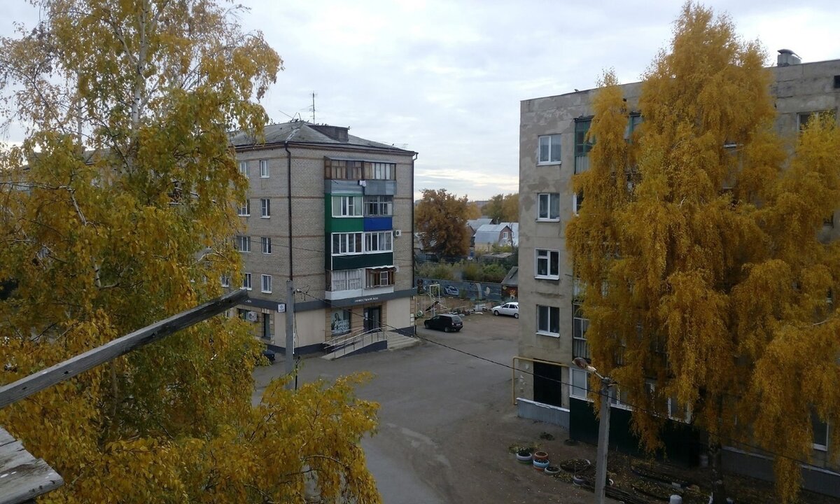 Фото Мальневой Александры  Золотая осень.