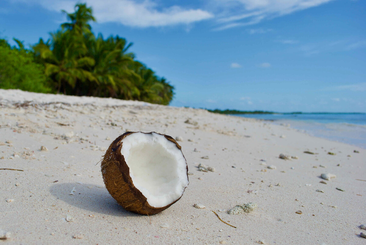 Остров Саона в Доминикане – здесь снимали знаменитую рекламу Баунти | Max  Travel | Дзен