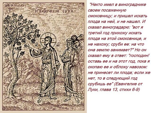 Картинка свободный доступ интернета.