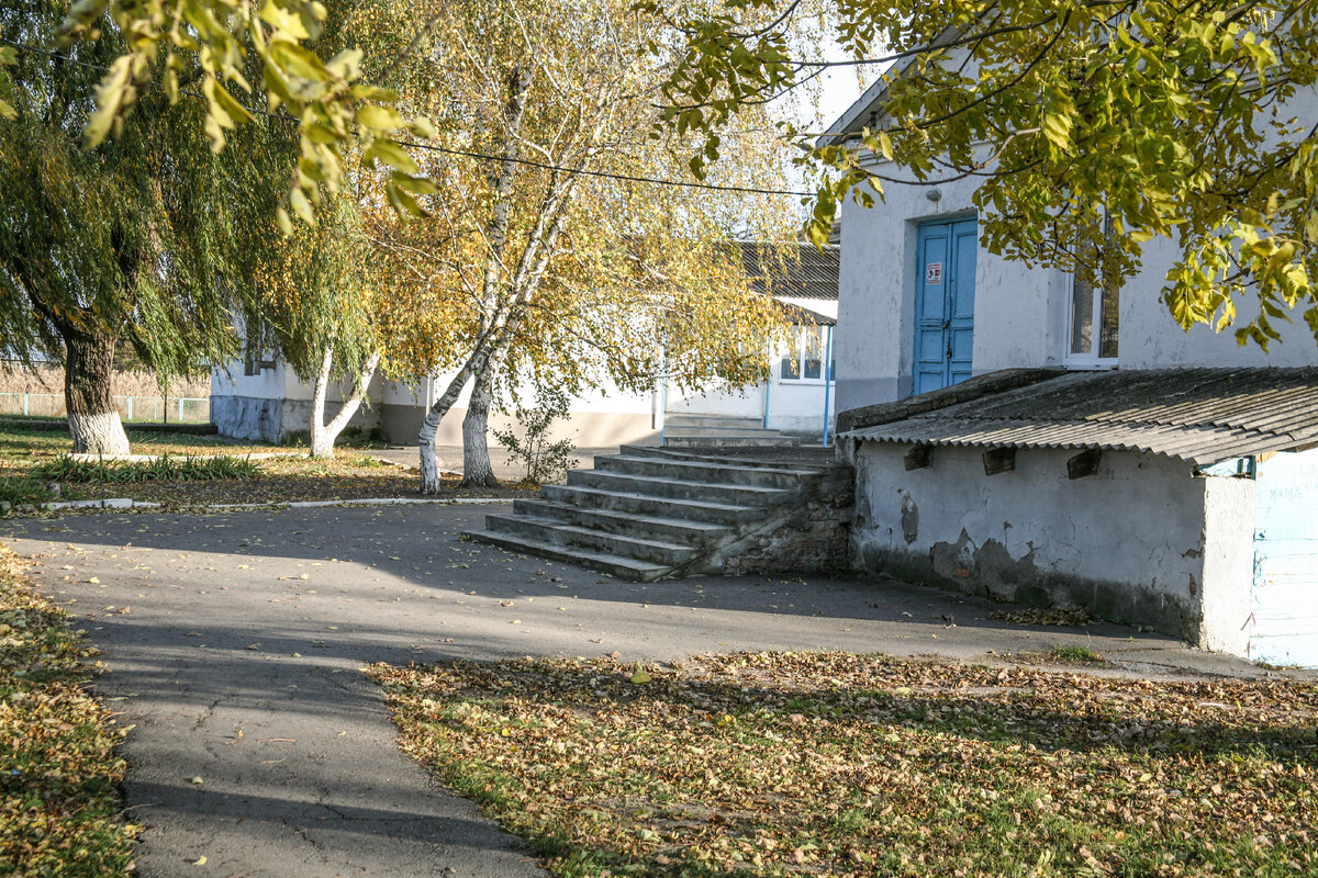 Село Свобода | Владимир Романов | Дзен