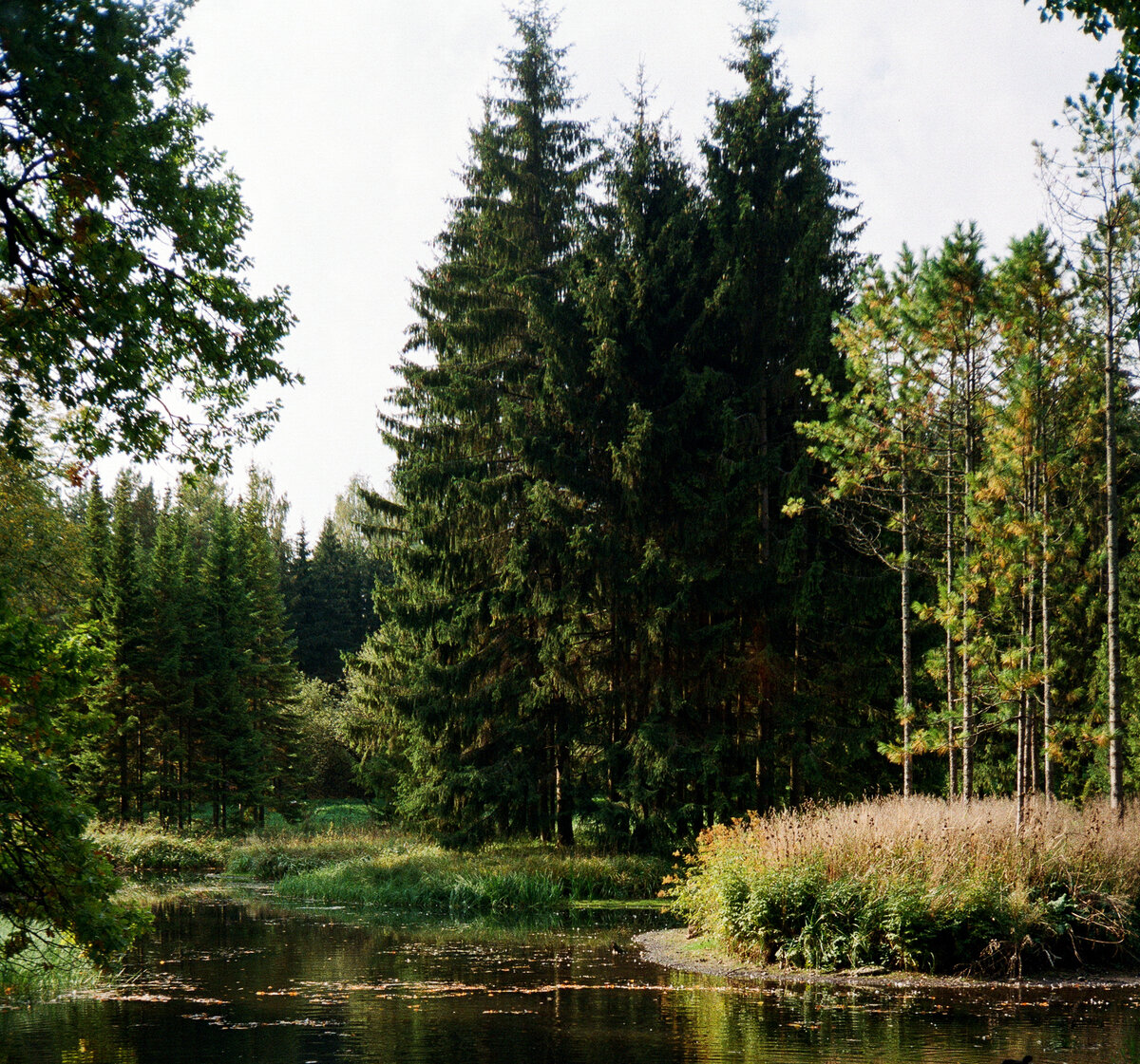 Фото снято на Olympus AF-10 Twin. Плёнка FUJICOLOR C200.