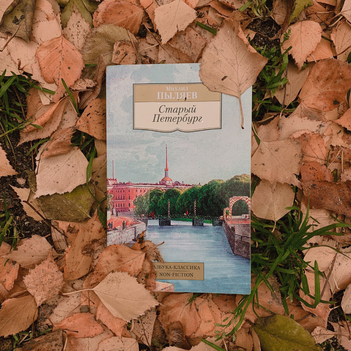 книга М. Пыляева «Старый Петербург»