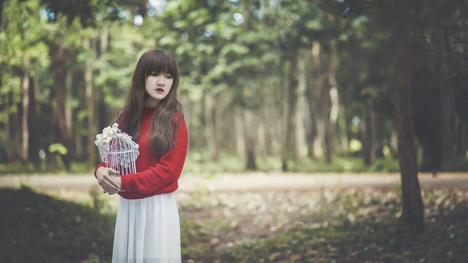 фото взято из открытых источников