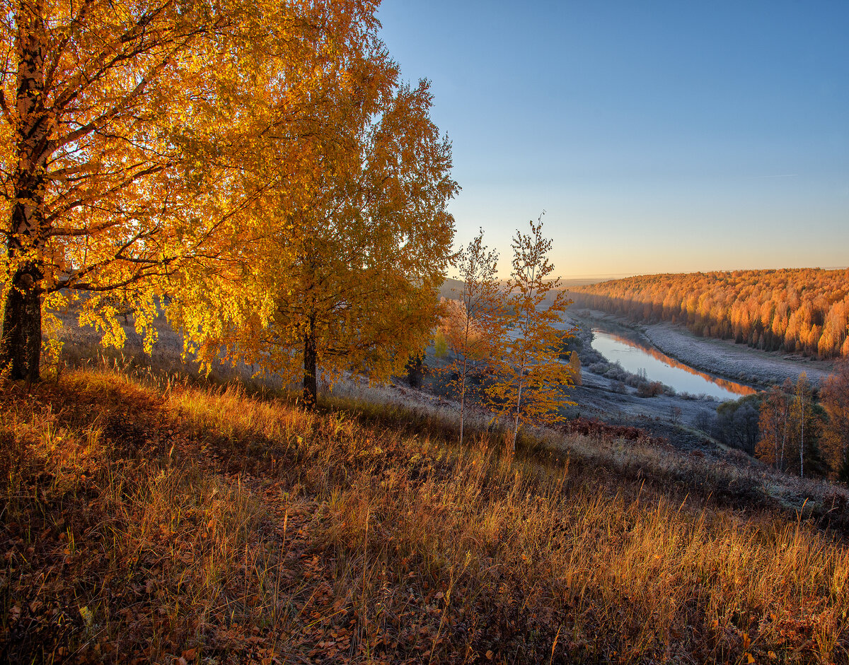 Золотая осень на берегах реки Немды, Советского района Кировской области. 