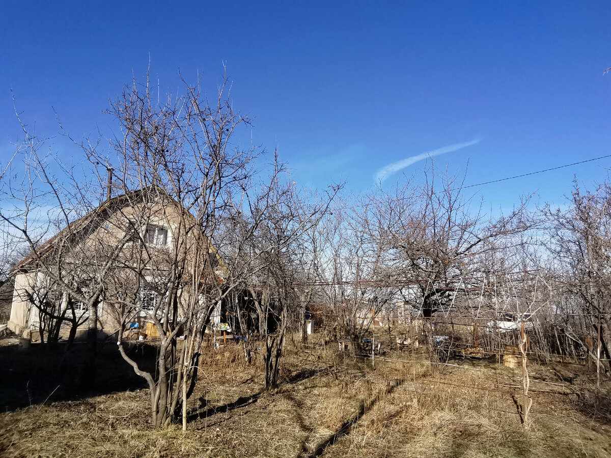 Сегодня. 