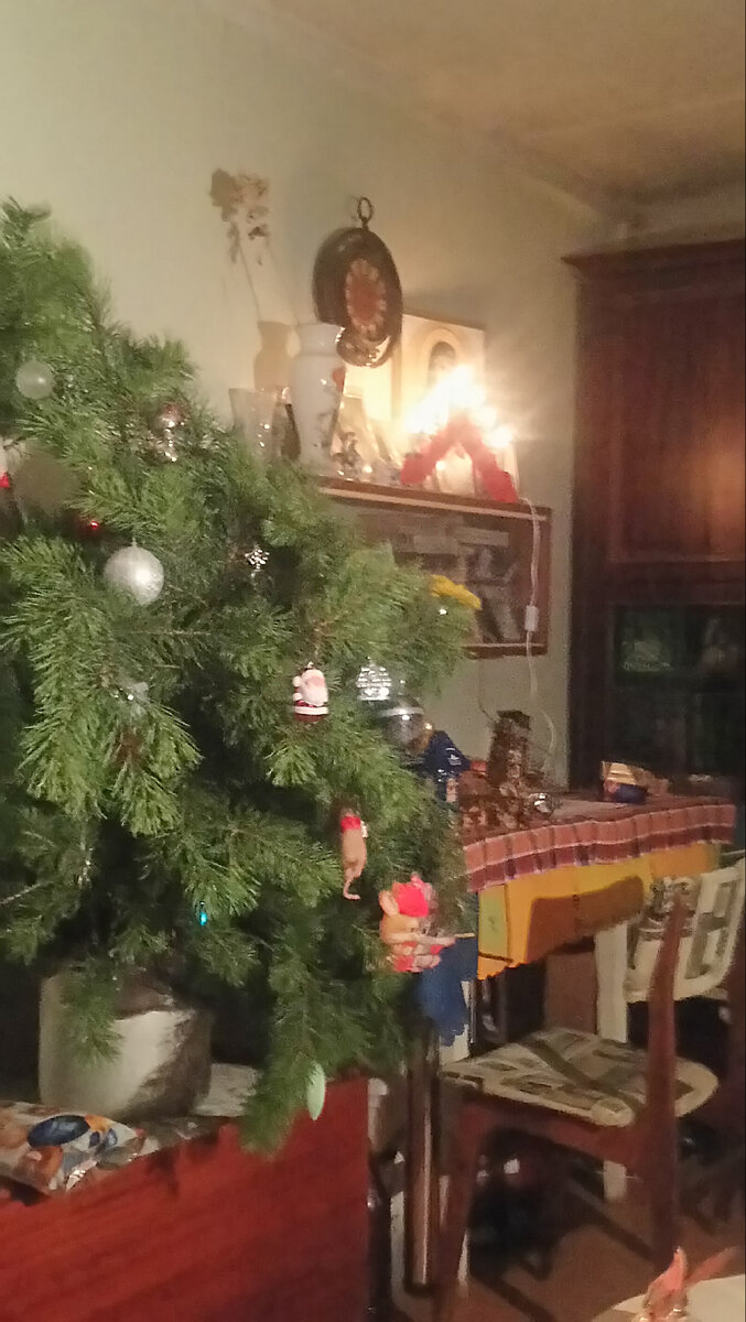 Новогоднее фото автора для поднятия настроения:) 