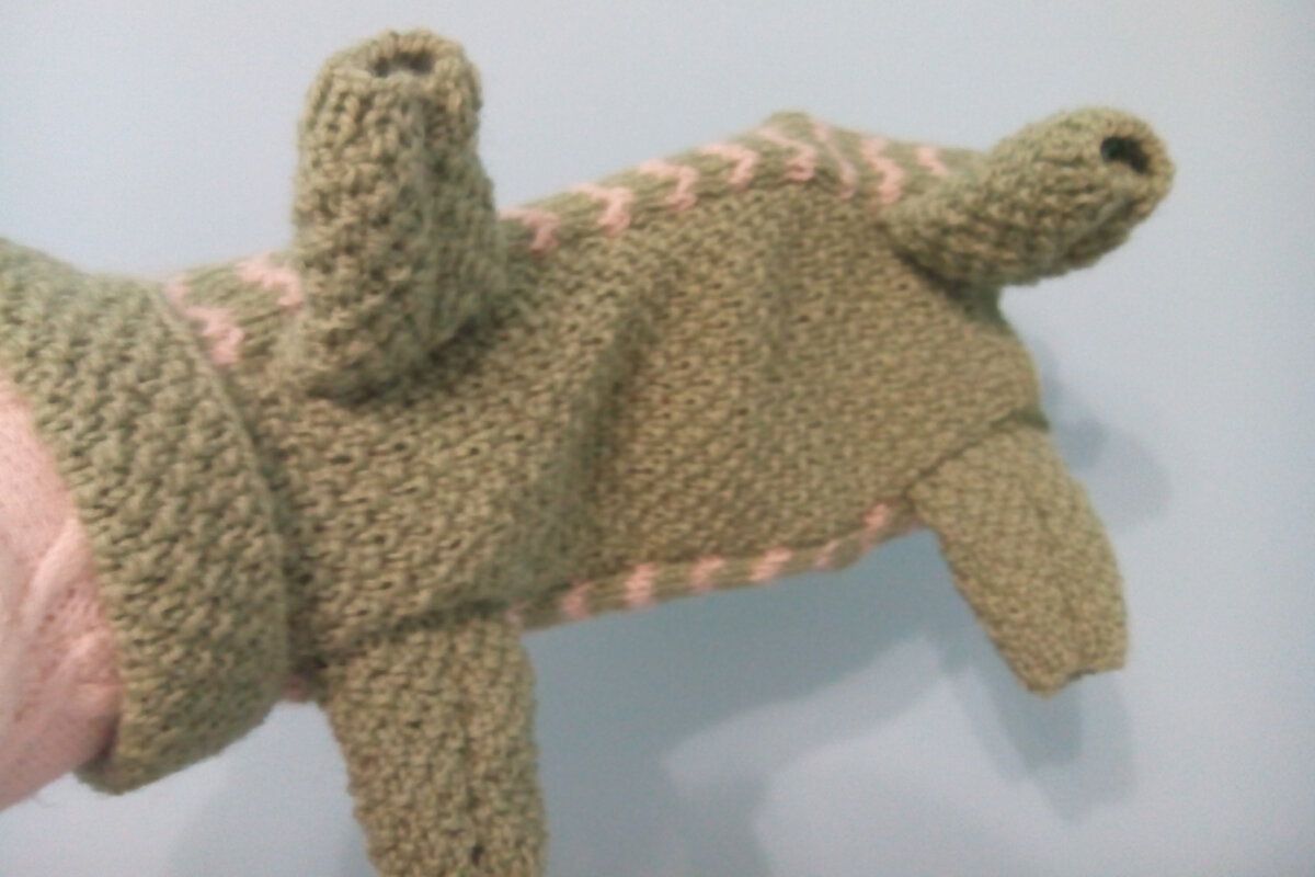 Животик и лапки.