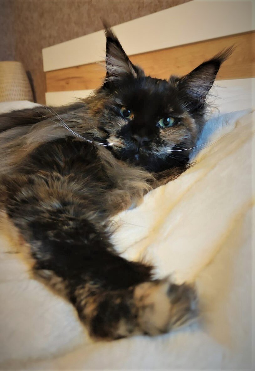 Фото из личного архива. Наша выпускница Радуга