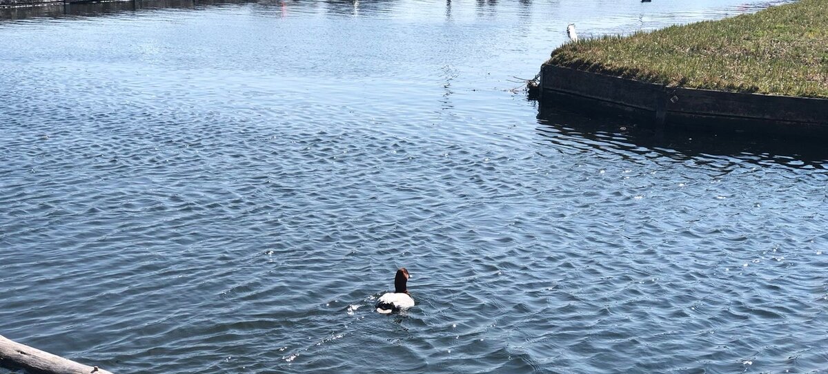 У реки. Работа Т. Федуловой