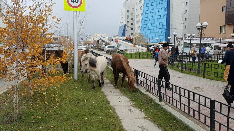 Фото: Тайгапост