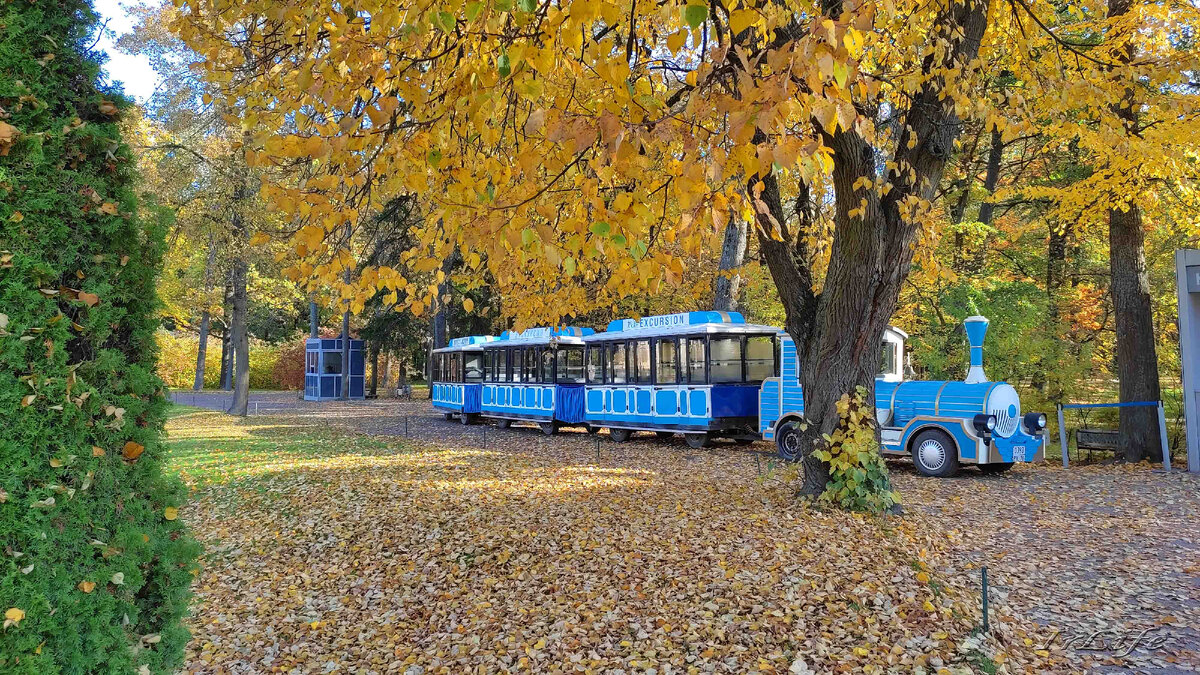 Экскурсионный паровозик