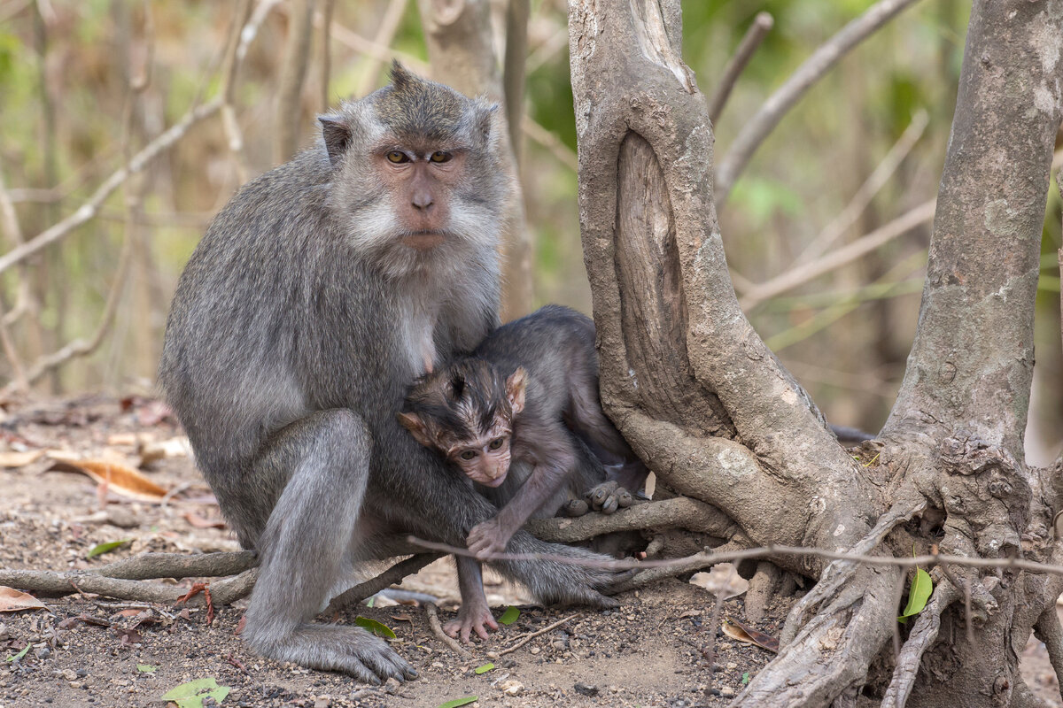 - Не отдам, моё!