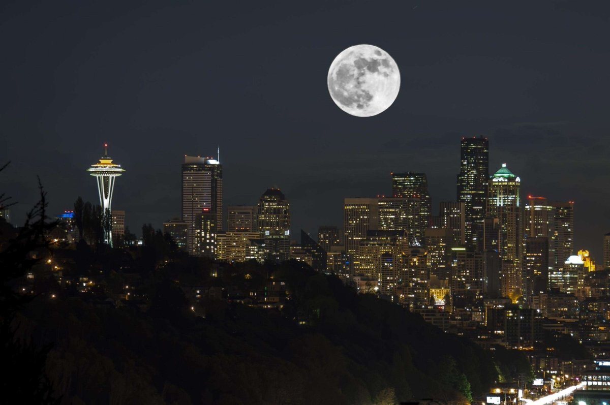 Яндекс картинки