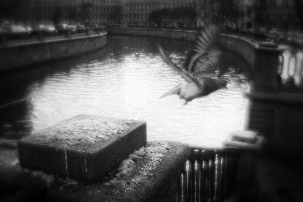 Валерий Ефремов, снято на монокль Вячеслава Зитева 26 мм