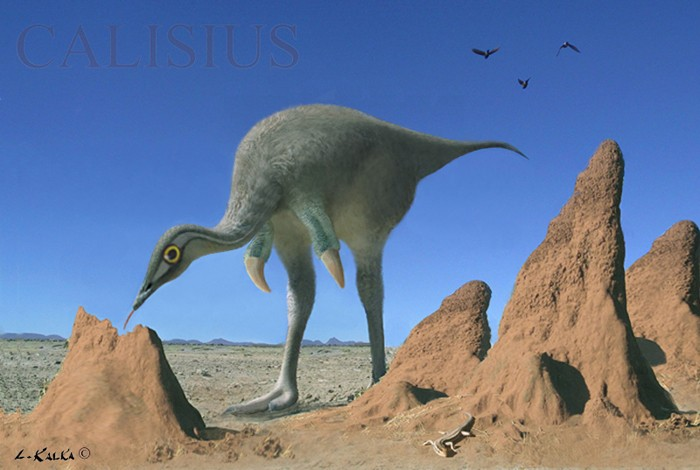 А это точно не птица?..