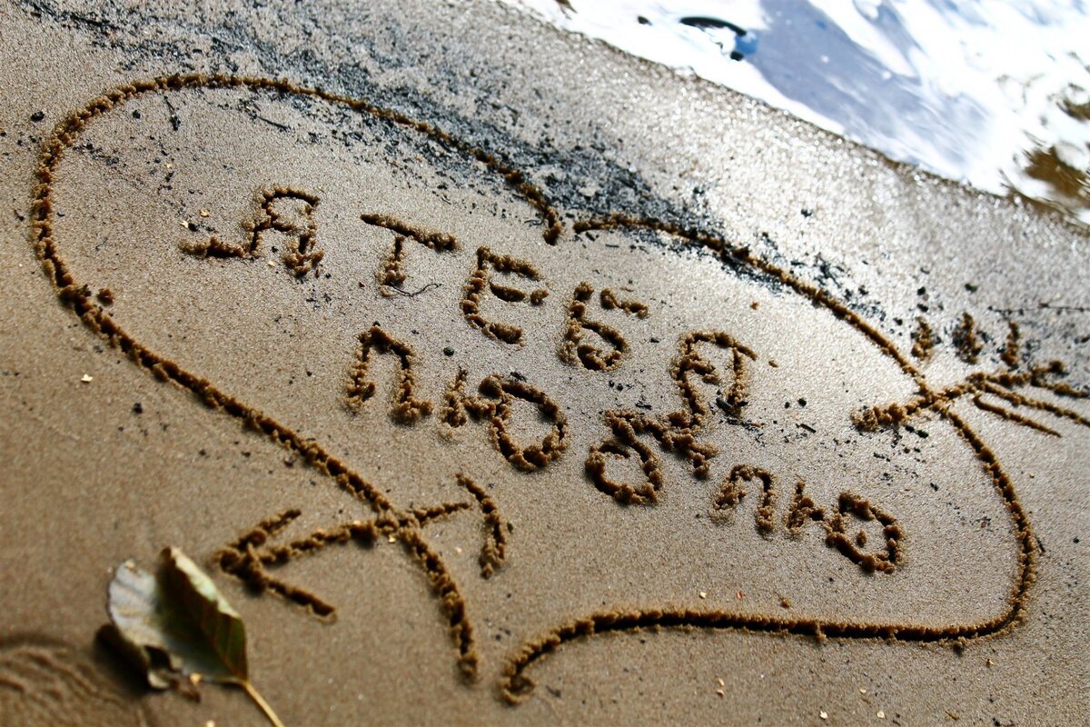 фото из открытых источников Яндекса