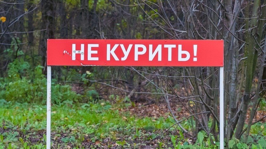 ФОТО : Mir24.tv / Николай Костюшин