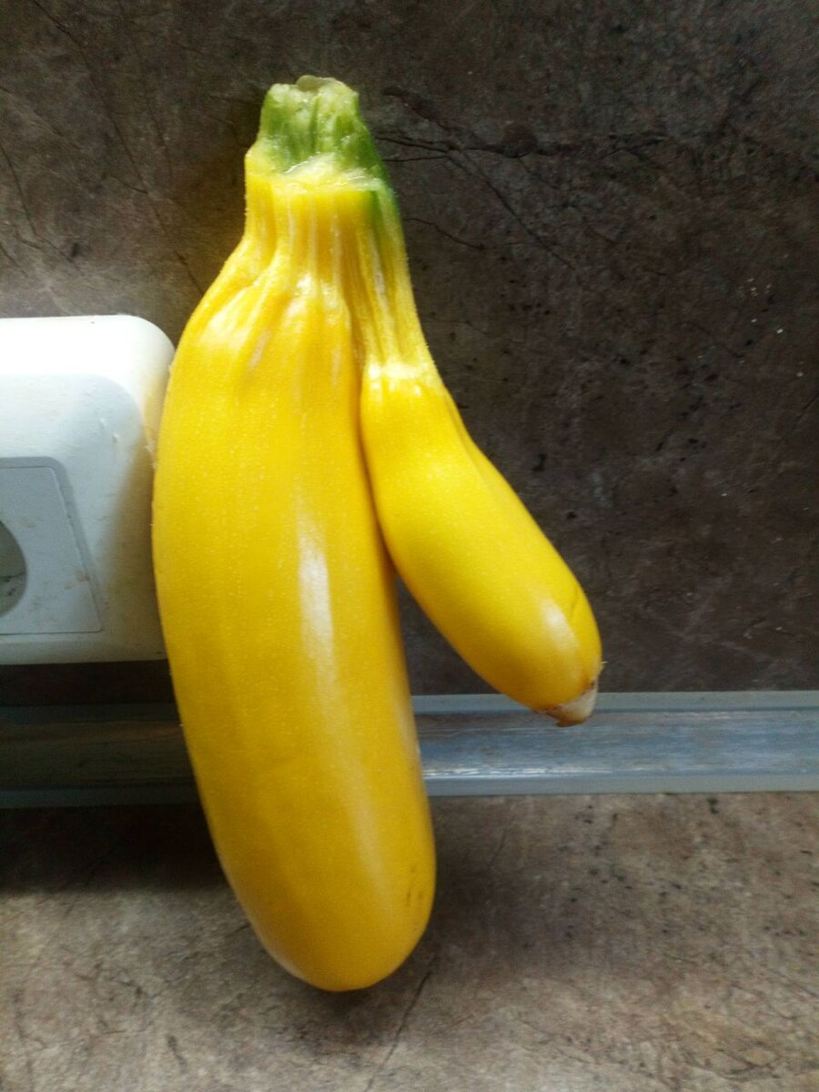 �������� ��������