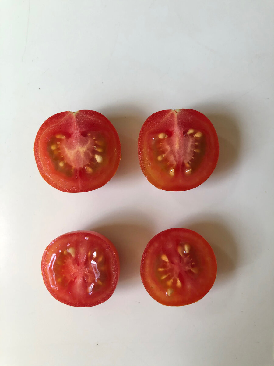 Черри «Терек» в разрезе