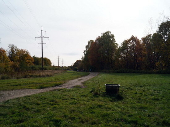   Анастасия Петрова