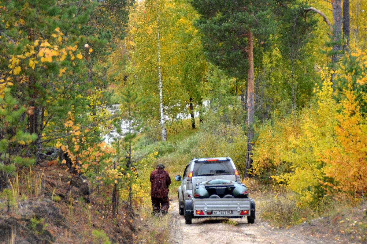 Добрались до места