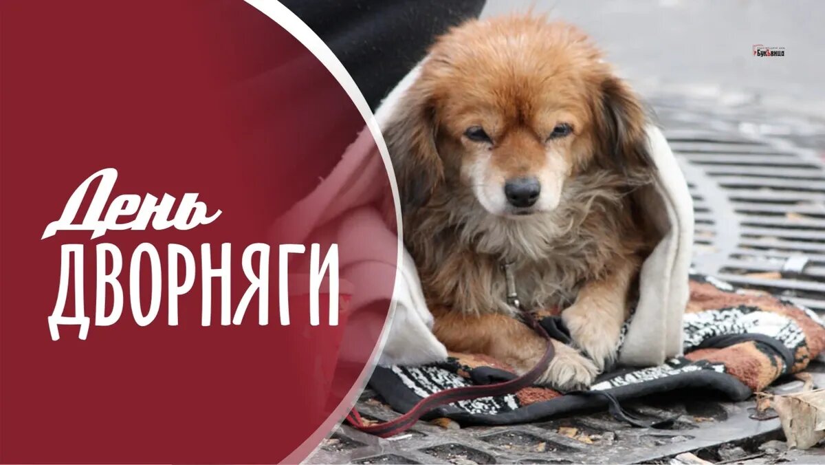 День дворняги. Иллюстрация: «Курьер.Среда»