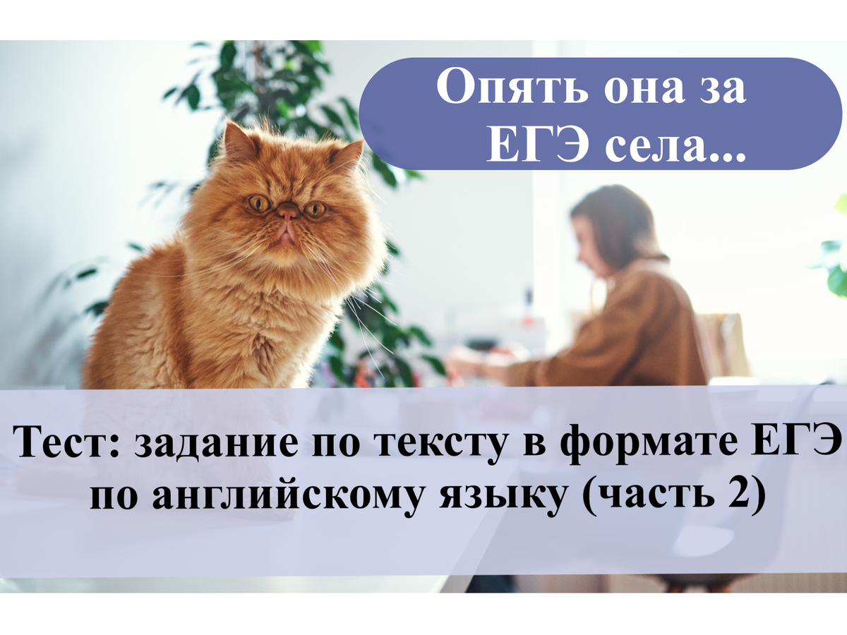 Тест: задание по тексту в формате ЕГЭ по английскому языку (часть 2) |  English Cats | Дзен