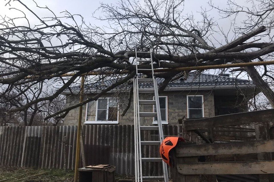     Фото: t.me/alekseioderov