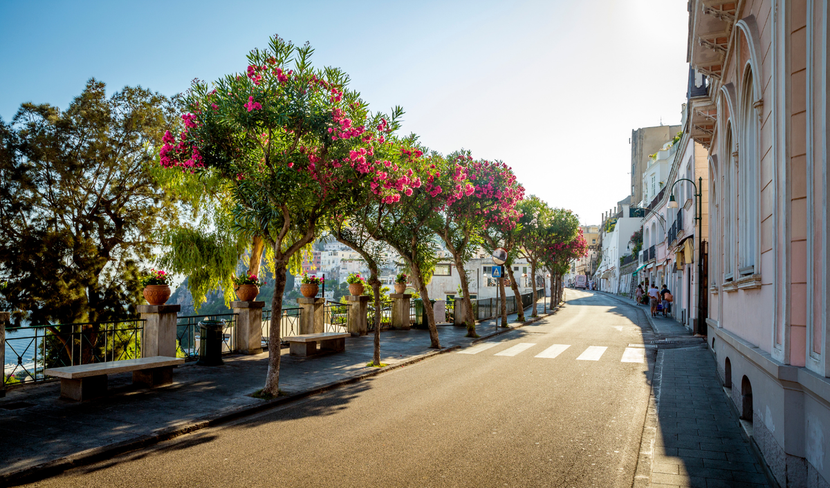 улочки острова капри. улицы капри. остров капри улицы. капри италия улочки. улицы капри.