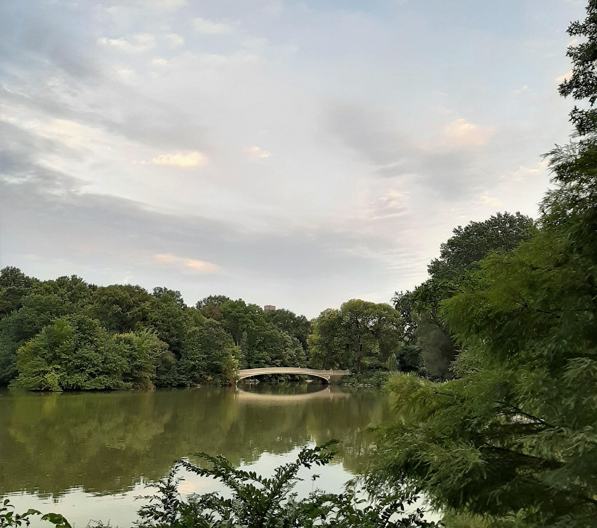 Вид на Gapstow bridge, Центр. парк, фото из личного архива