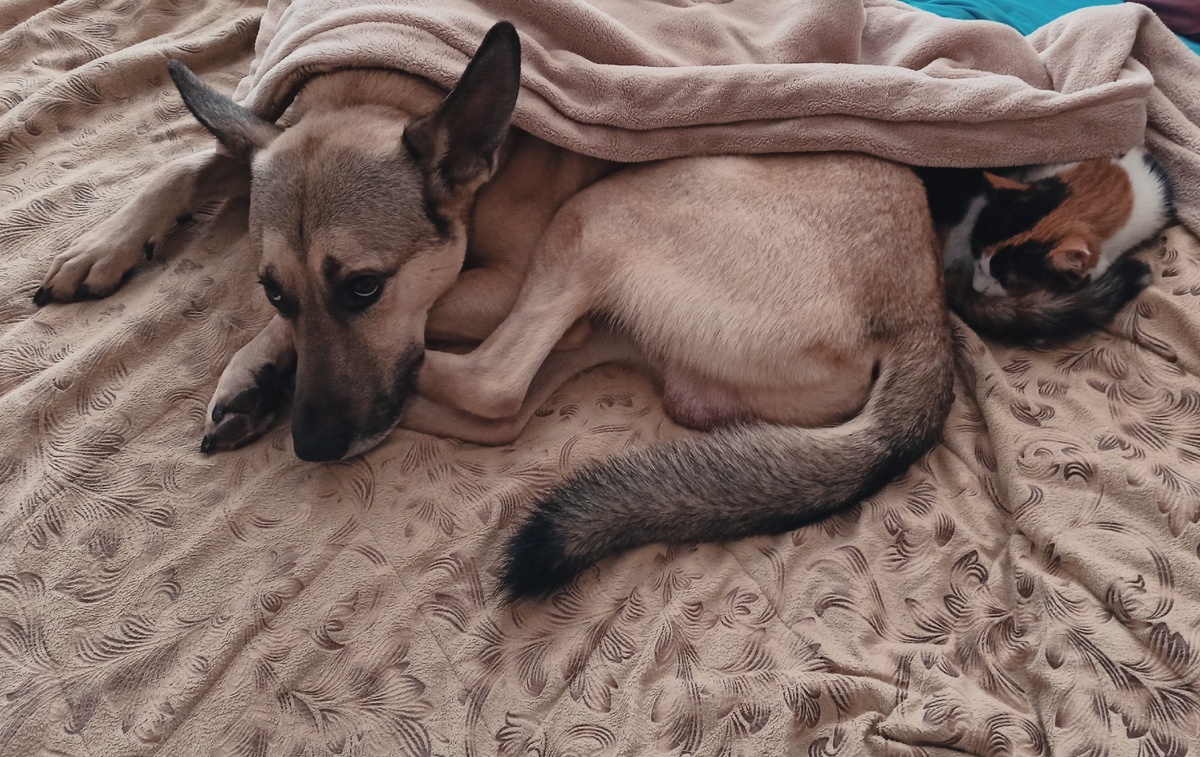 Лаки с Клео