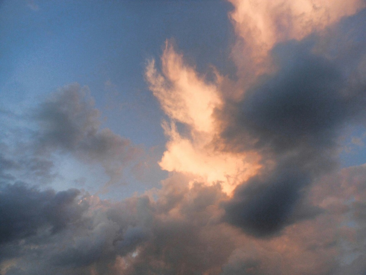 картинка, взятая из интернета.