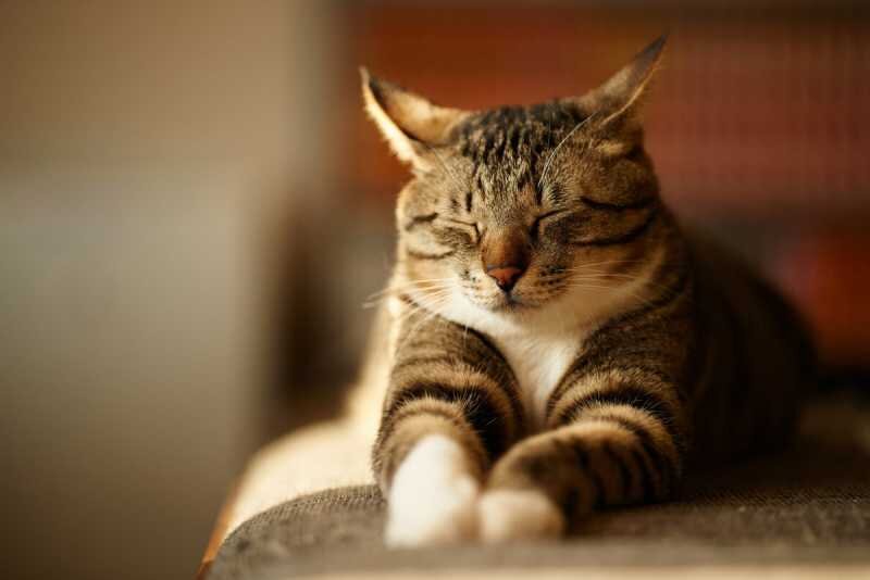 Источник Яндекс Картинки