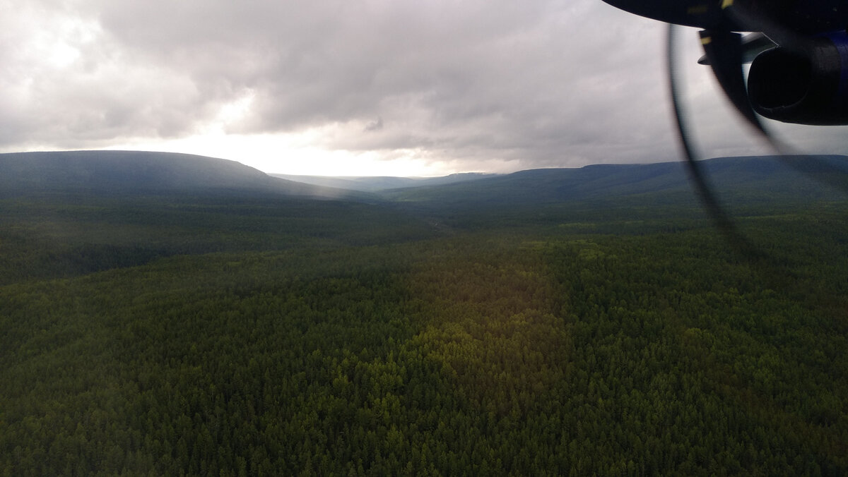 Под крылом нашего самолёта - зелёное море тайги