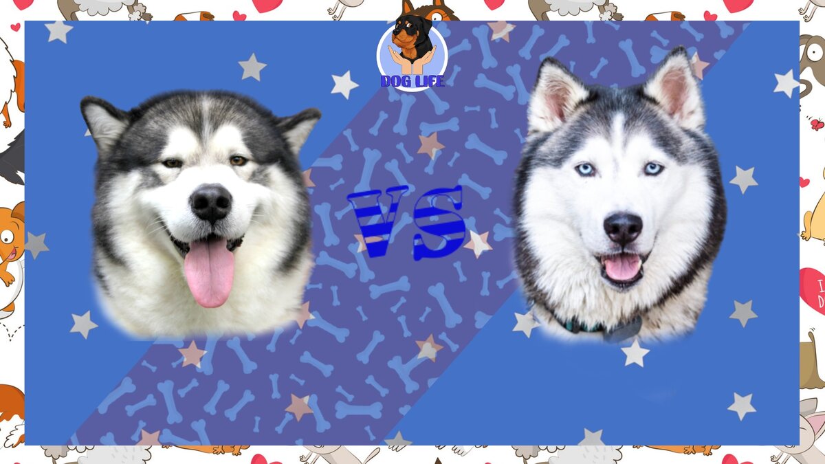 Ставьте лайк, если статья понравилась!