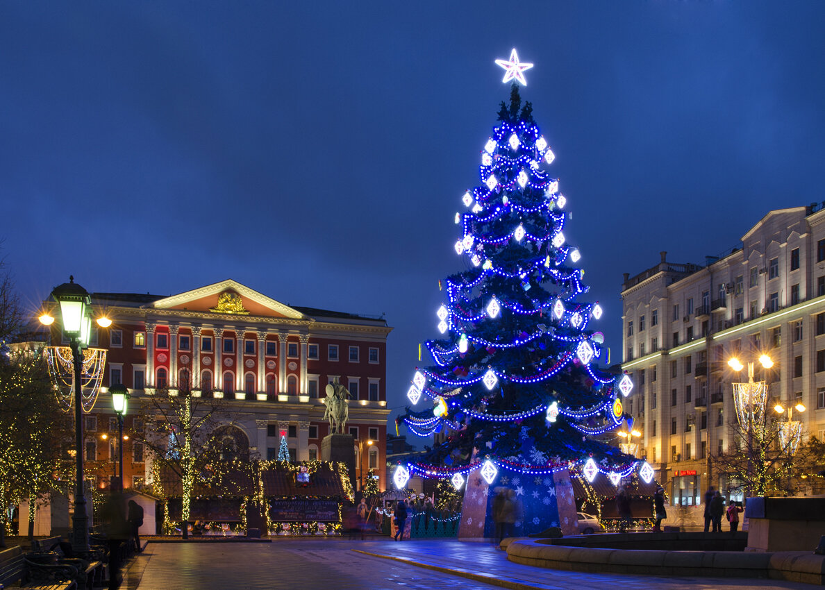 елки в москве