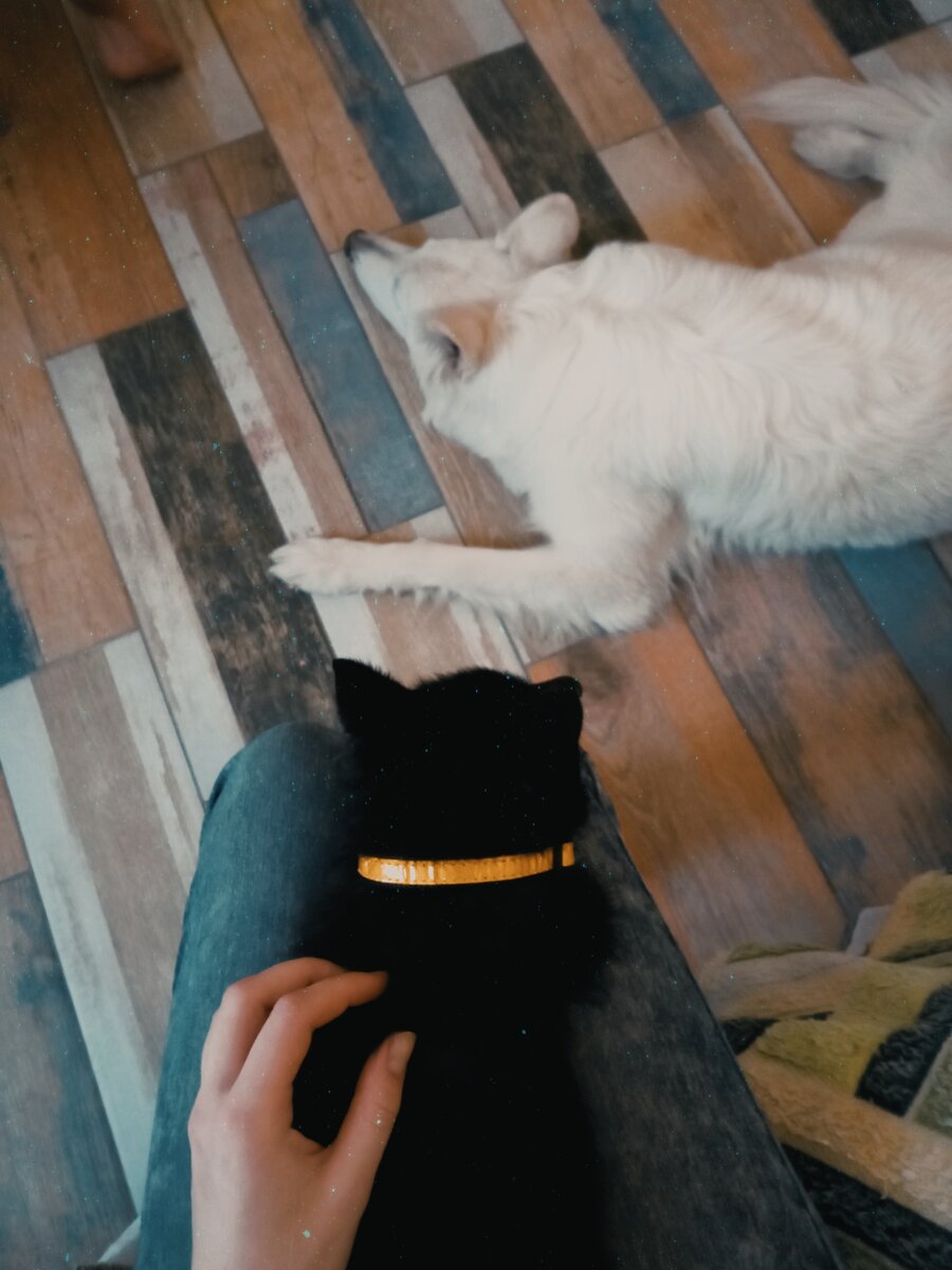 Если вы когда-либо держали на руках такого маленького щенка, то наверняка знаете, насколько они горячие! Настоящая обжигающая грелка! Ну либо Люсик действительно попал к нам из самых раскаленных недр преисподней :)