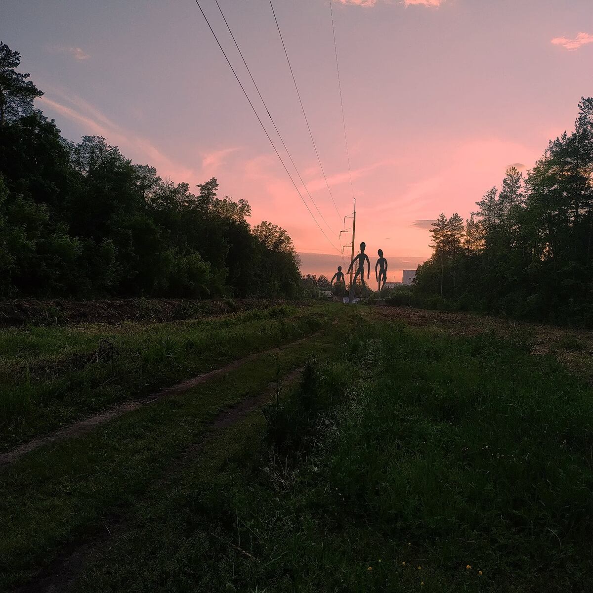 Гуляют. 