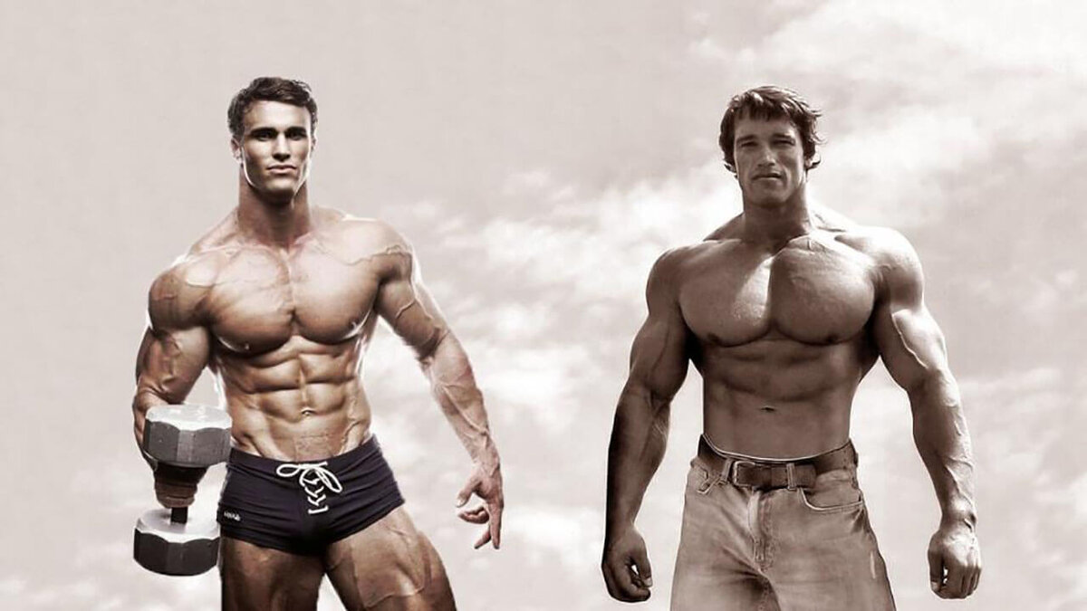 изображение взято из открытых источников сети Интернет