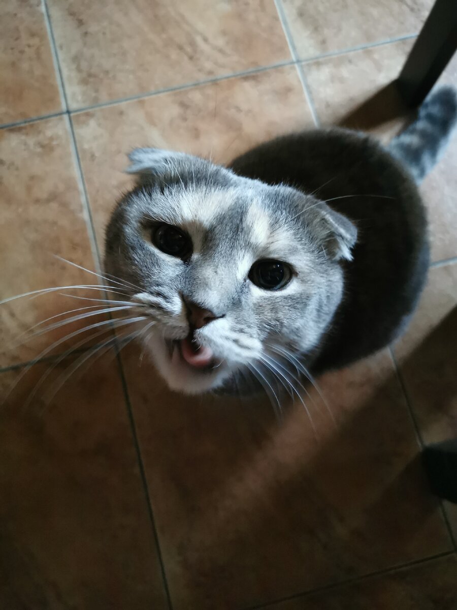 Было вкусно, но мало! Может повторим? 