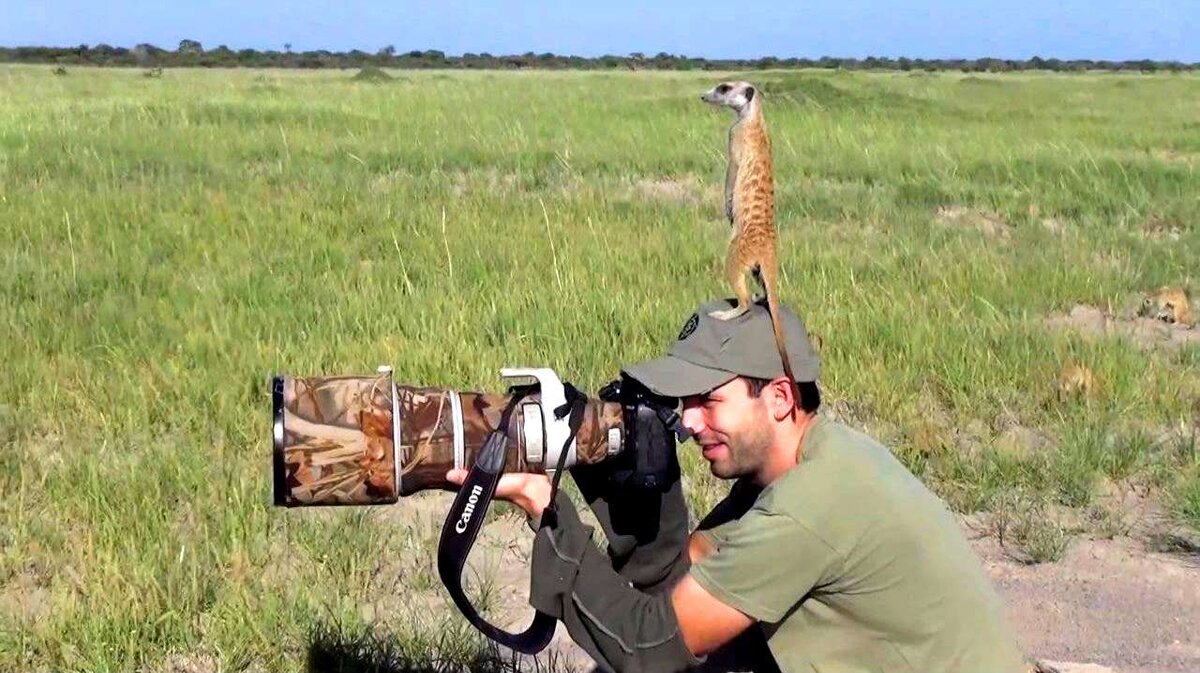 Фот взято из просторов сети Интернет 