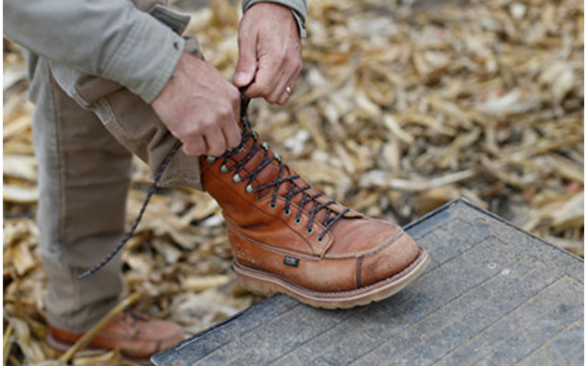 Red Wing Irish Setter
