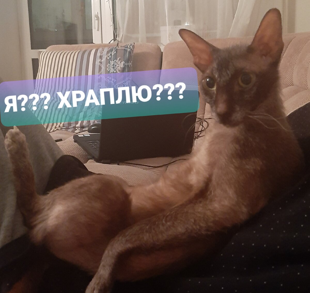 Семен.